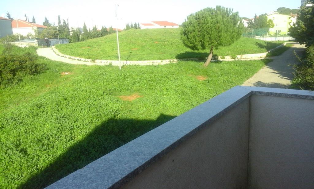 Romantic Rohreggerova *